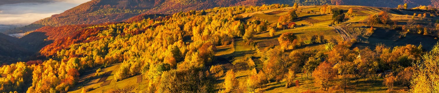 Gyllen soloppgang over fjell og åkre